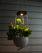 Ecoglow - Solar Planter with Auto On/Off – Effortless Night Lighting