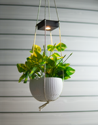 Ecoglow - Solar Planter with Auto On/Off – Effortless Night Lighting