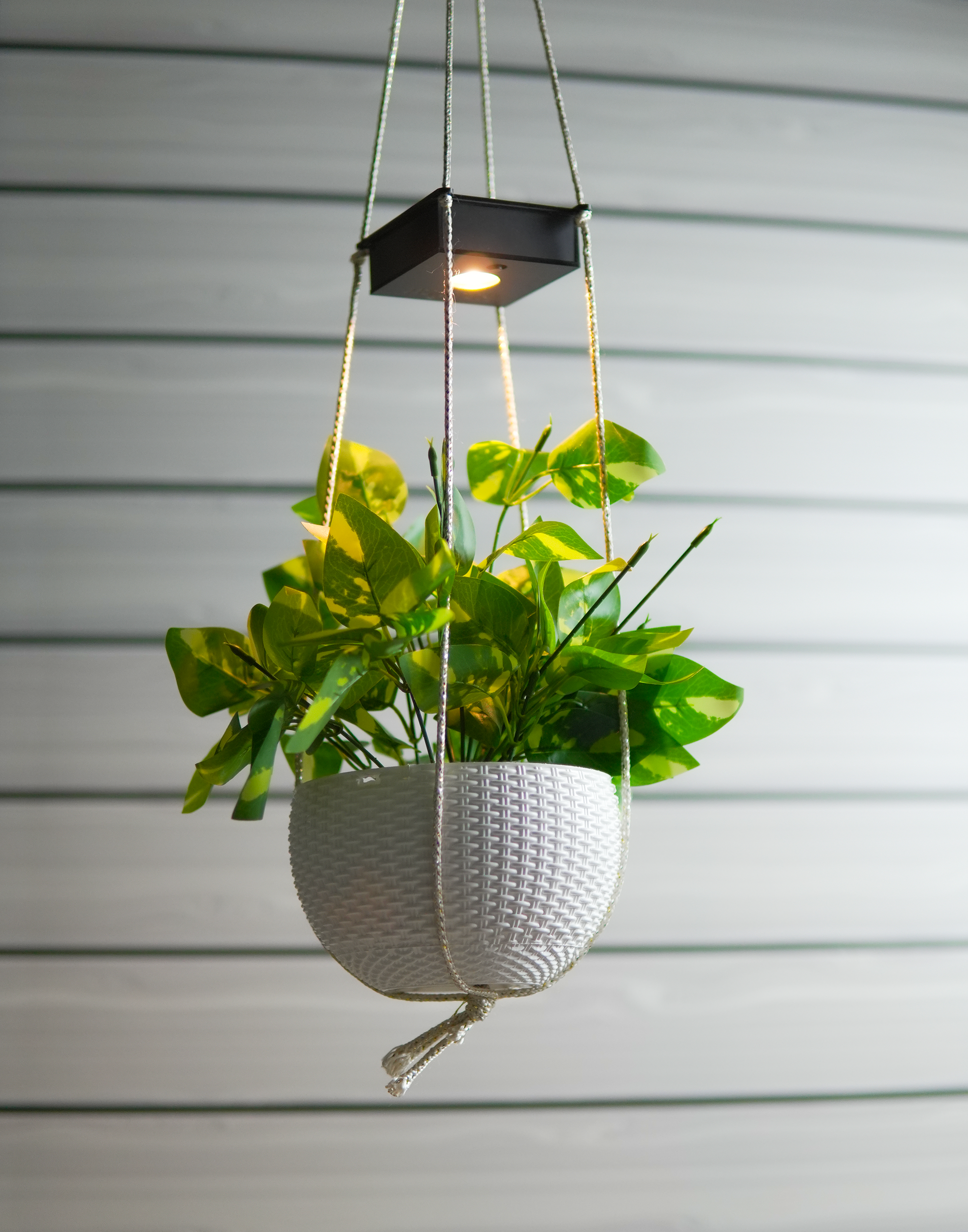 Ecoglow - Solar Planter with Auto On/Off – Effortless Night Lighting