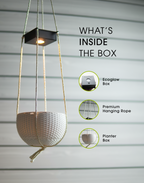 Ecoglow - Solar Planter with Auto On/Off – Effortless Night Lighting